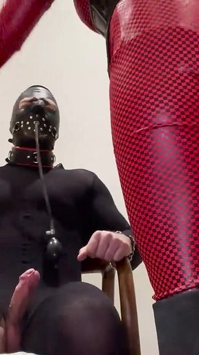 Cbt Edging Play with Inflatable Gag