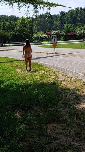 Walking Naked by Highway