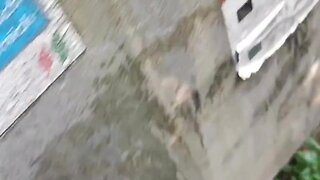 Amateur outdoor big cock piss naked men public pissing compilation