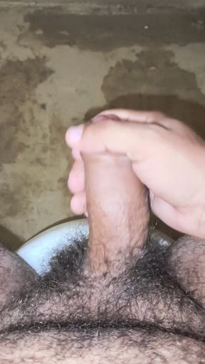 Hairy penis