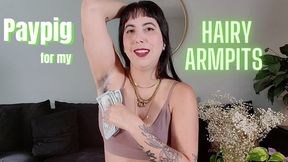 Paypig for My Hairy Armpits