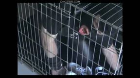 BDSM Porn HD scene 1036