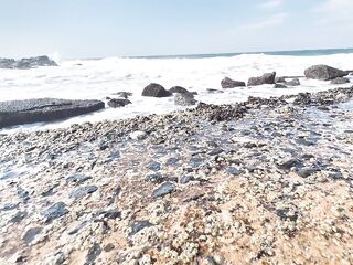 Where the Waves Whisper