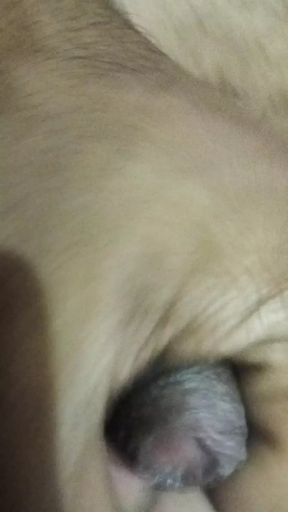 Hardcore masturbation by Pakistan Big black cock
