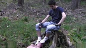 A walk in the woods (BMB)