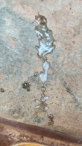 Full handel mara video