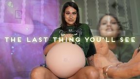 "The Last Thing You See" [VORE + BELLY]