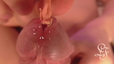 Japanese Anime Doll dives into giant Dick and gets Cummed out