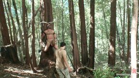 Bound Gods Dom Josh West Gets Edged Deep in the Woods