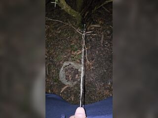 Pissing On The Plant 《4k》