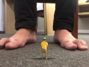 HUGE GIANT FEET - TINY MANT UNDER THE TABLE - MANLYFOOT - STEPDAD SHRUNK ME DOWN - 🦶 🧍🏼‍♂️