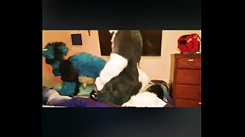 Furrys fuck on bed