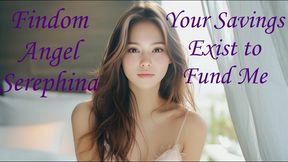 Your Savings Exist to Fund Me
