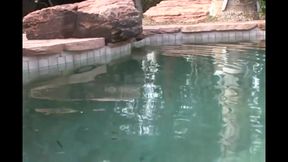 Hot busty blonde takes a big hard cock from behind