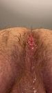 Cum Dripping from hairy bears ass #2