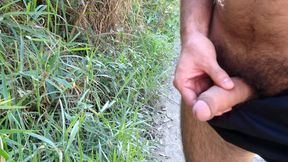 Furry handjob, naughty bear outdoors in nature
