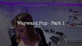 Wayward Pup 1