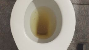 GOLD PEE IN MY TOILET PROFIT PERCENT SITTING