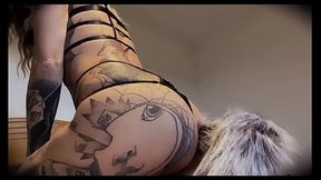 Voil&agrave_ la petite vid&eacute_o Tu connais le renard qui passe toi Je te la ...