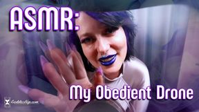 ASMR: My Obedient Drone