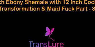 English Audio Sex Story Rich Ebony Shemale with 12 Inch Cock - Transformation & Maid Fuck - Part 3
