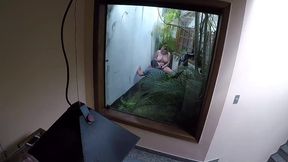 bastidores da gravacao de rafaella denardin e melissa devassa com nego catra - by binho ted