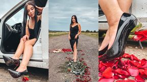 CRUSH Crushed 101 roses with high heels