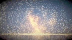 Watch Me Shower and Play