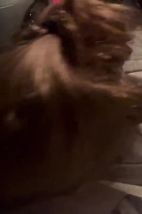 T-bone in the Passenger Seat.