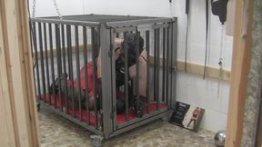 The slave in her cage