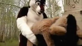 Nasty huskies fucking in woods