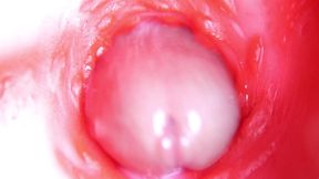 CAMERA INSIDE PUSSY: ALMOST CUM IN PUSSY! BEST Internal ASMR in 4K