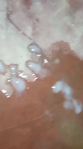 Bhabi Se Sex Kia Full Enjoy Video   Clip 1