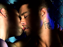 Gays are doing nasty things in the shadows with their boners