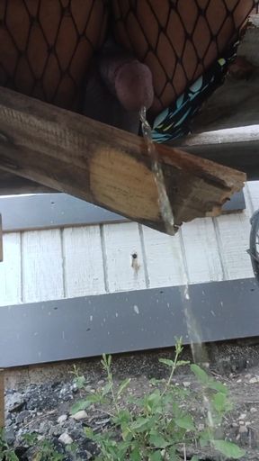 Must-share moment from "small dick and pretty dress latina femboy peeing outdoors"