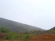 a looner in the mountain