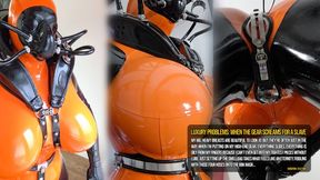 Luxury Problems: When the Gear Screams for a Slave