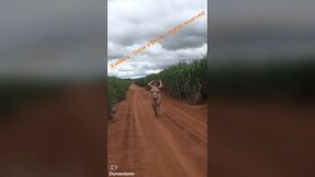 Dona Amadora walks naked down a rural road in public