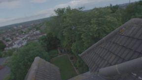 andi james snake dave rooftop dick sucking