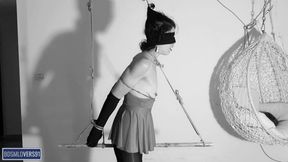 Not Gonna Lie, I Love the Way You Cum