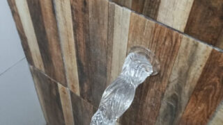 Cô gái nghiệp dư người Brazil tự quay cảnh chơi dildo qua đường hậu môn và thủ dâm mãnh liệt.