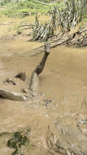Spectacular moment from &quot;BURIED IN MUD&quot;