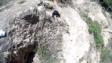 Lost in the wild and fucked hardcore - Claary Cherry