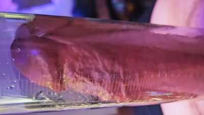 Mr Thick Dick 01: Milking Machine on an 8 inch thick uncut cock