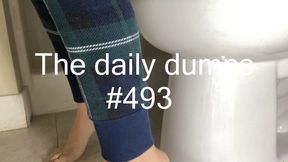 The daily dumps #493