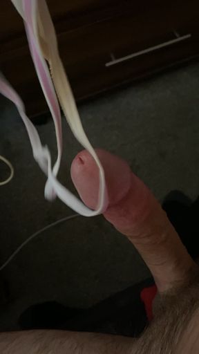 Always Horny