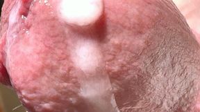 Penis close-up with