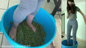 Taylor ASMR Winemaking