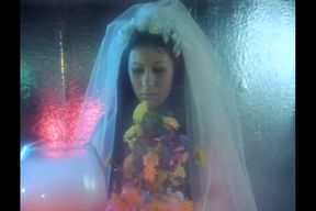 Leos Leiden  - 1976 romantic bride