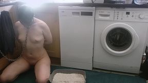 humiliated little thing, chained up in the kitchen and made to use a litter box ? comment or dm me for the full film (no char...